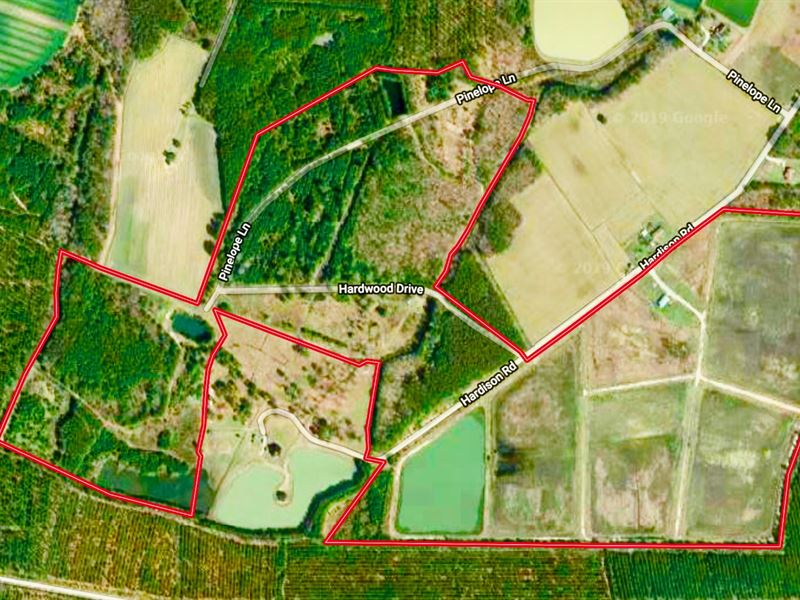 Duck Hunting Property Martin Co, NC : Williamston : Martin County : North Carolina