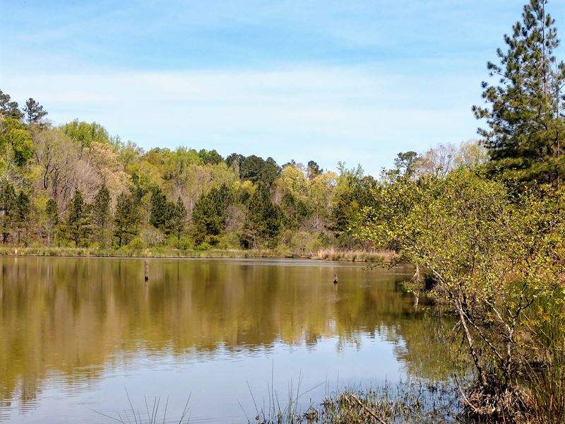Farm with 4 Acre Lake Near Macon : Macon : Jones County : Georgia