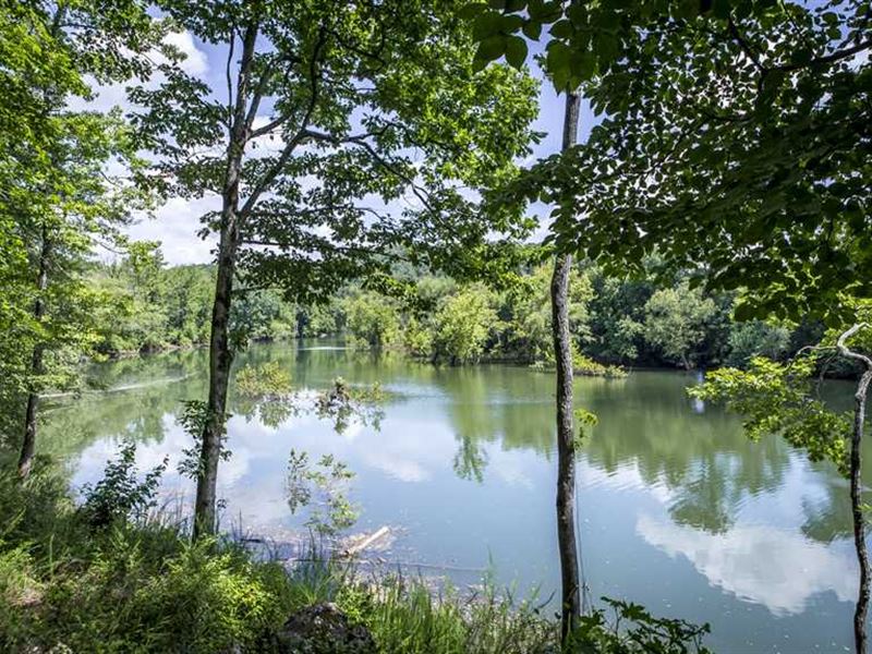 Little Red River Front Paradise : Shirley : Van Buren County : Arkansas