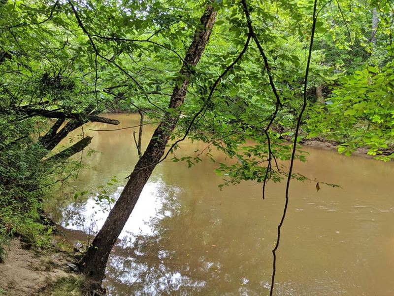 Strength Oxbow Property Land for Sale in Daleville, Dale County