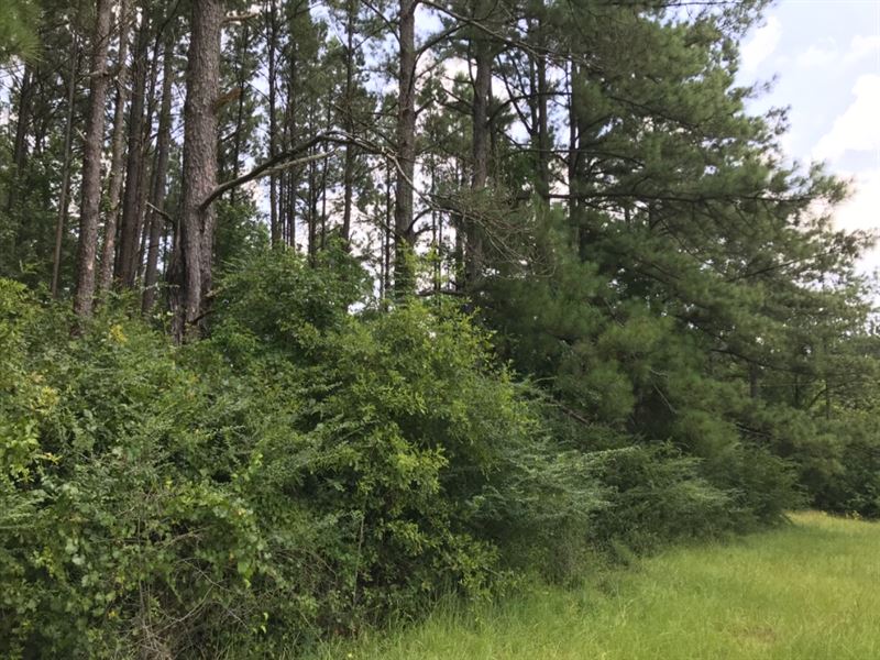 Indian Creek : Hazlehurst : Copiah County : Mississippi
