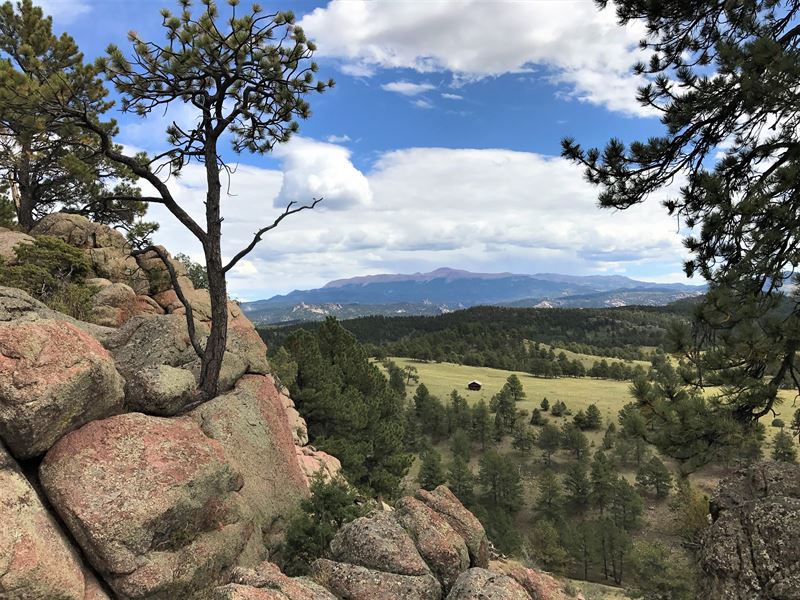 Teller Park Ranch : Florissant : Teller County : Colorado