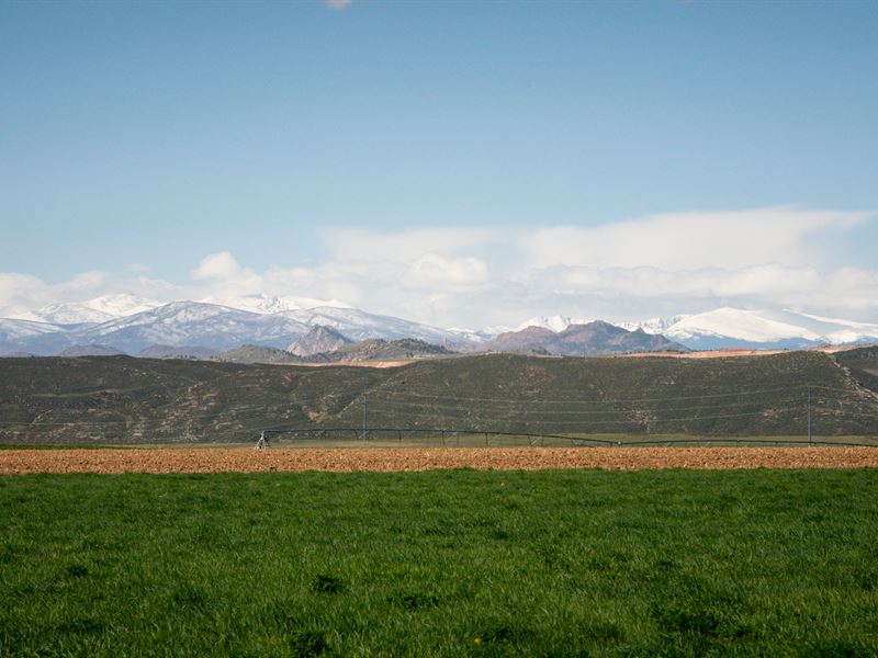 Buckeye Ranch : Wellington : Larimer County : Colorado
