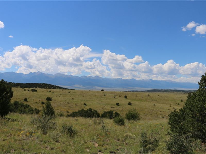 Lapin Creek Ranch : Westcliffe : Custer County : Colorado