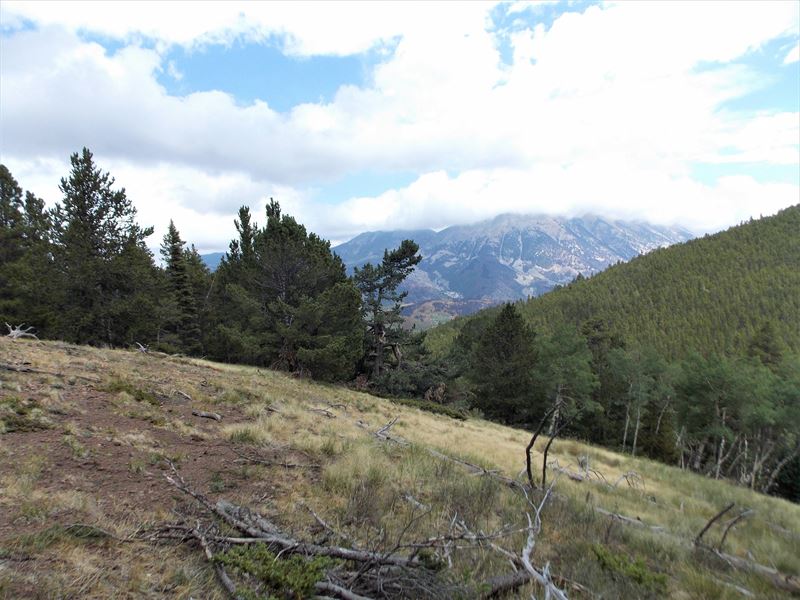 Forbes Wagon Creek Ranch, Lot 488 : Fort Garland : Costilla County : Colorado