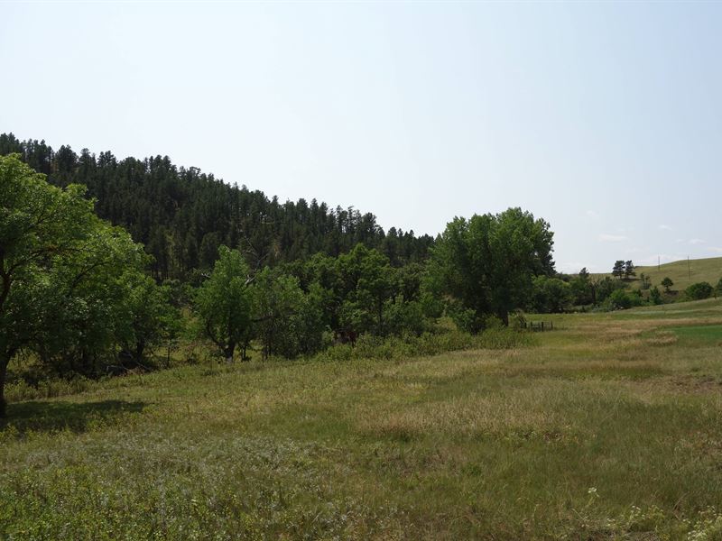 Elk Basin Ranch : Hermosa : Custer County : South Dakota