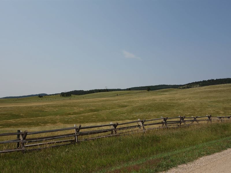 Prairie Hill Ranch : Hermosa : Custer County : South Dakota