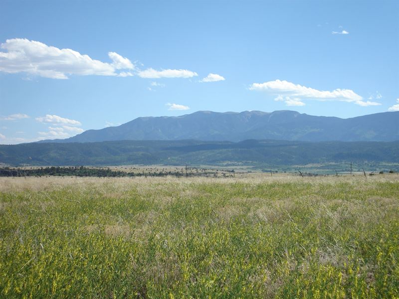 Waterbarrel Estates Lot 15 : Beulah : Pueblo County : Colorado