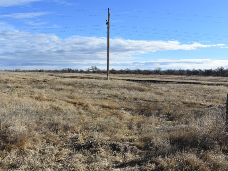 Ovid Farm and Frontage : Ovid : Sedgwick County : Colorado