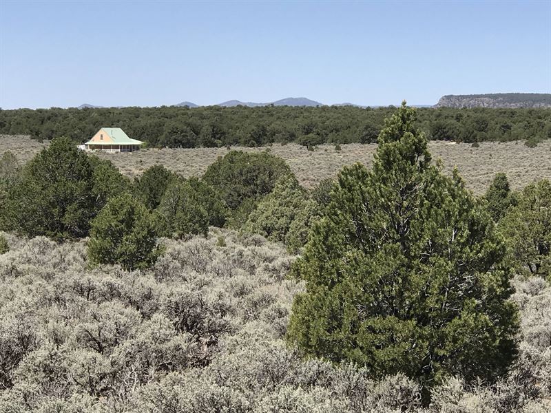Big Sage 200 Acres + Home, New : Tres Piedras : Taos County : New Mexico