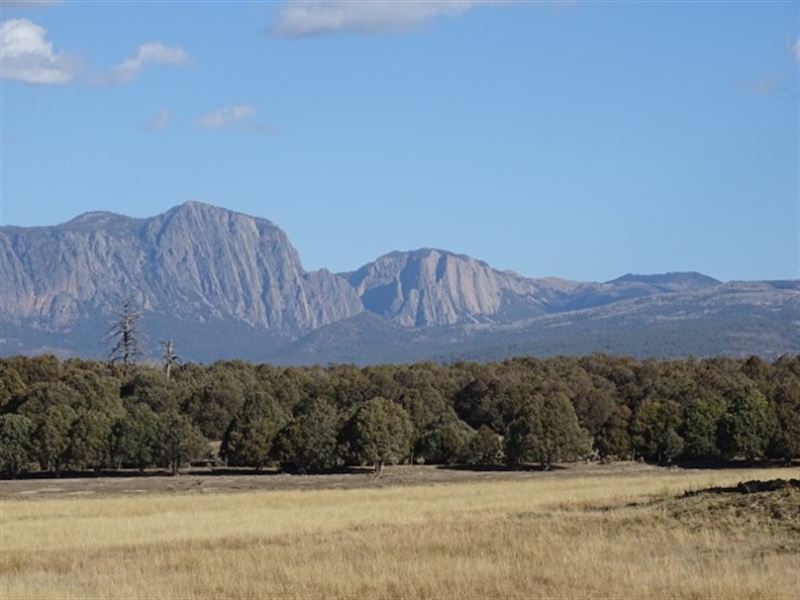 Melton Lakes Ranch : Rutheron : Rio Arriba County : New Mexico