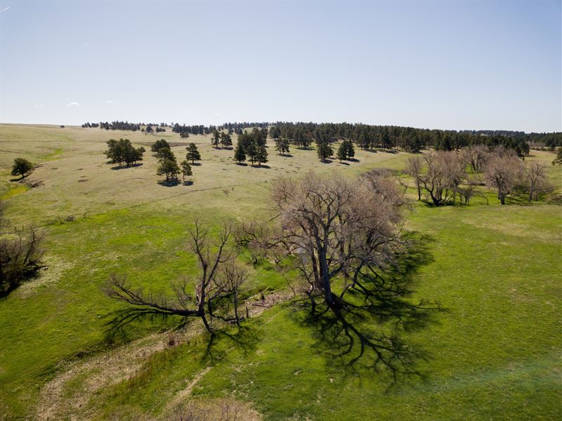 Wolf Creek Ranch at Kiowa : Kiowa : Elbert County : Colorado
