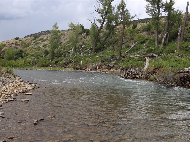 Predator Acres Land for Sale in La Jara, Conejos County, Colorado