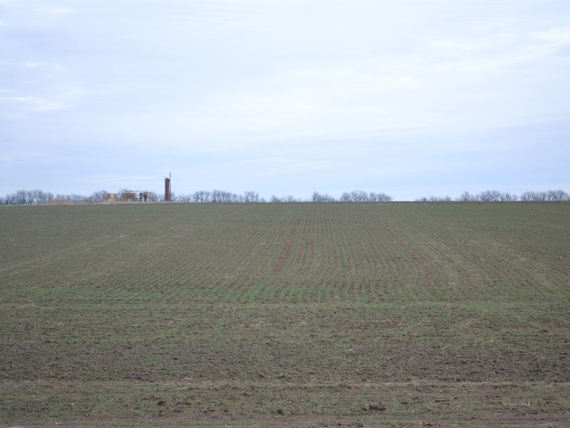 300 Acres in South Haven, Kansas : South Haven : Sumner County : Kansas