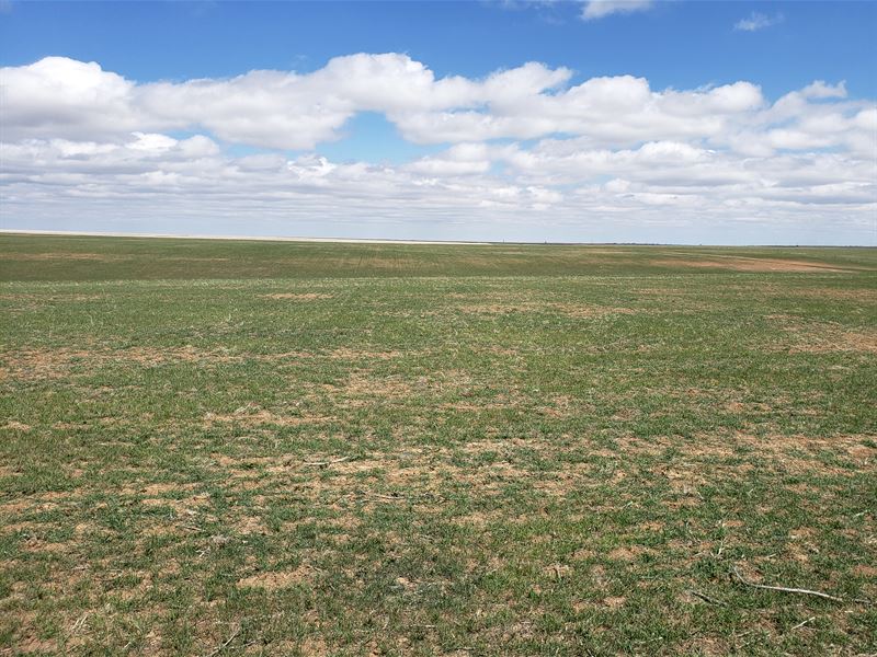 Fike's Quarter : Matheson : Elbert County : Colorado