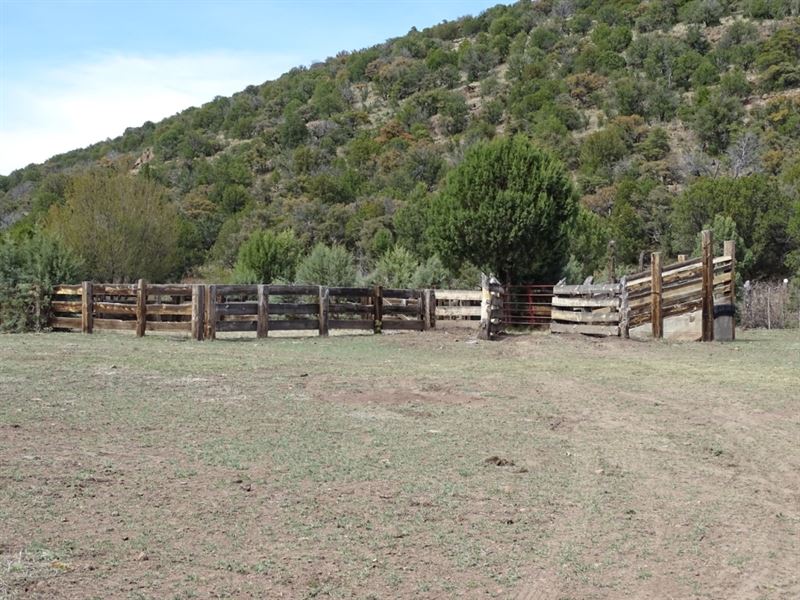 Blue Creek 160 Allotment 5587 Acres : Buckhorn : Grant County : New Mexico