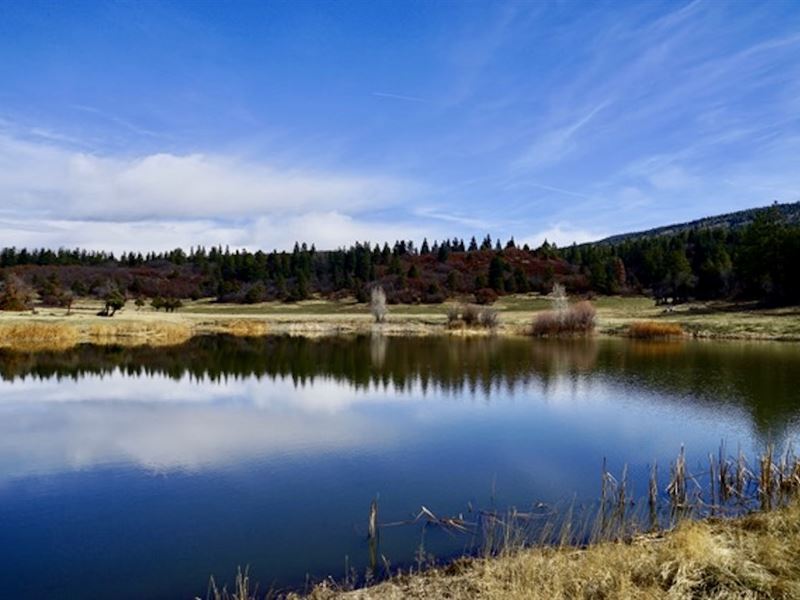 Mundy Ranch and Mountain Estate : Tierra Amarilla : Rio Arriba County : New Mexico