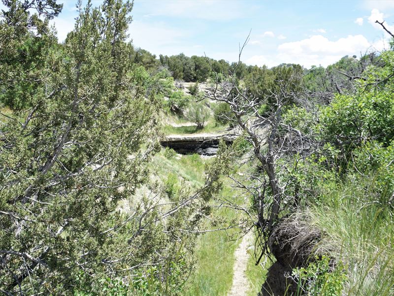 Hatchet Ranch-Parcel 4 : Pueblo : Pueblo County : Colorado