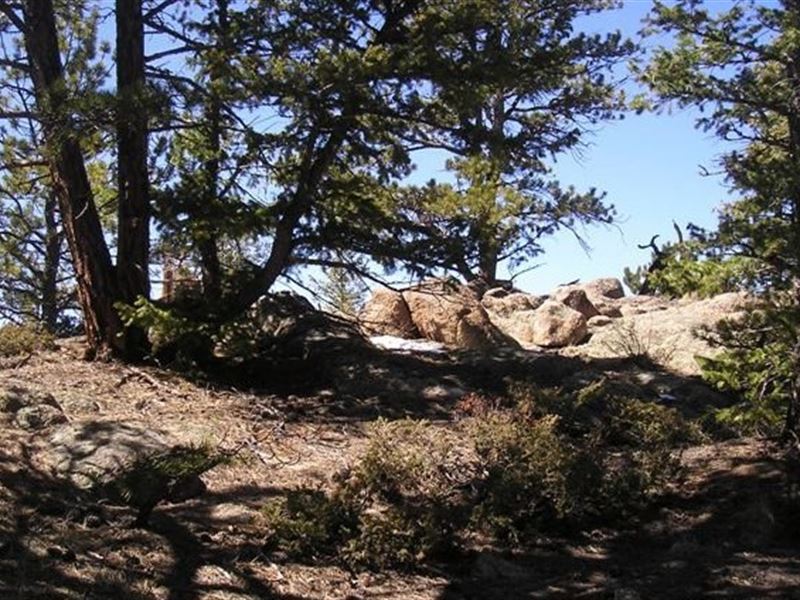 Charming Mountain Lot in Colorado : Red Feather Lakes : Larimer County : Colorado