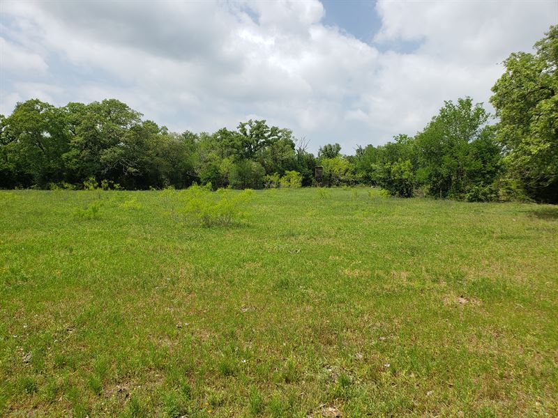 14.02 Acres Of Land in Texas : Mustang Ridge : Caldwell County : Texas