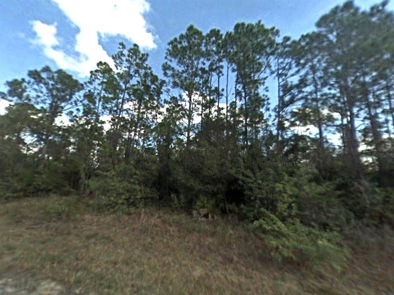 $199 Down Oversized North Port Lot : North Port : Sarasota County : Florida