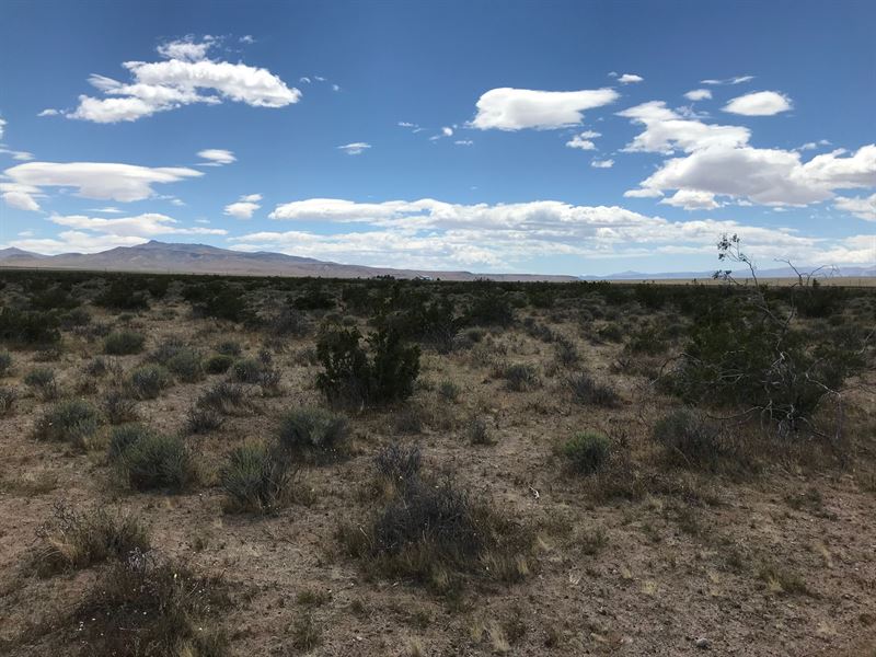 2.06 Acres in Kern County, CA : Inyokern : Kern County : California