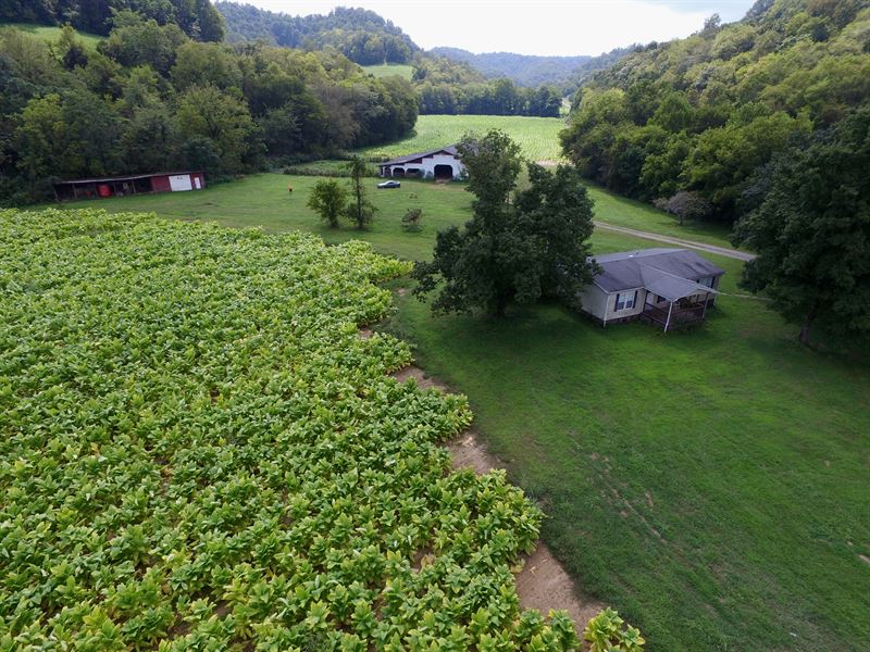 138+Ac Farm, Hm, Barn, Pond, Creeks Land for Sale in Whitleyville