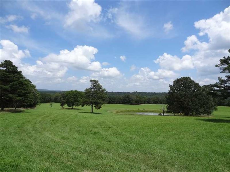 New Price, Bear Haven Ranch, 905 : Clinton : Van Buren County : Arkansas