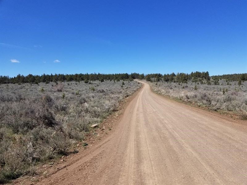 21.40 Acres in Madeline, California Land for Sale in Madeline, Lassen