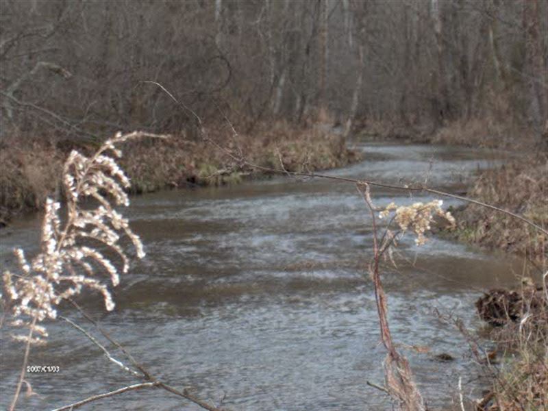 627.50 Acres, Creeks, Ponds, Barn : Whitleyville : Clay County : Tennessee