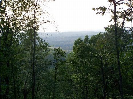 81+/- Acres Sleeping Giant Mt. : Talladega : Talladega County : Alabama