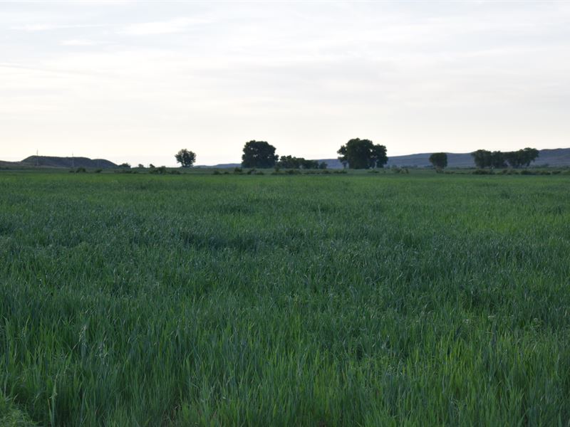 Quarter Circle Ranch : Worland : Washakie County : Wyoming