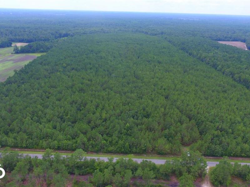 Moore's Creek Hunting Land Land for Sale in Burgaw, Pender County