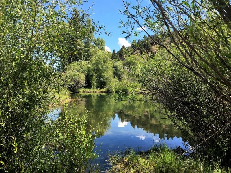 River Acreage : Lake City : Hinsdale County : Colorado