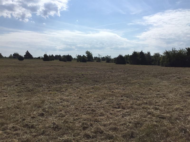 Land For Sale, Terrell, Texas : Land for Sale in Terrell ...