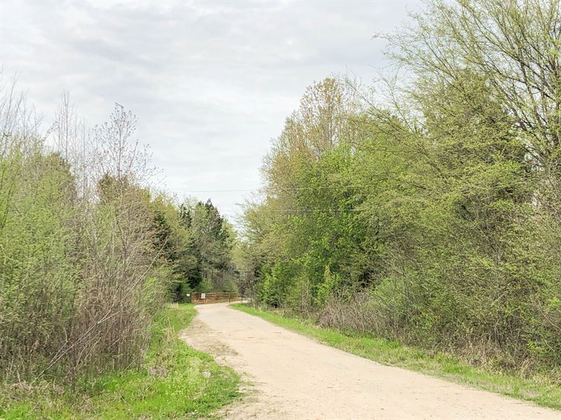 124 Acres Maya 1004 Tract 16 : De Kalb : Bowie County : Texas