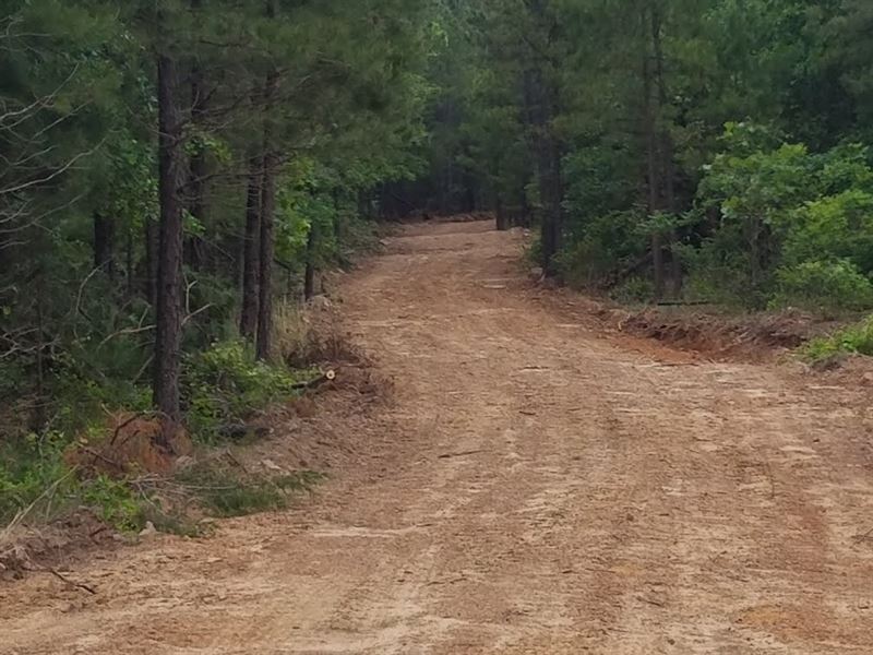 Acreage for Sale, Atoka County : Daisy : Atoka County : Oklahoma