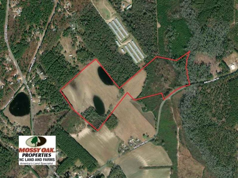 Under Contract, 70 Acres of Farm : Laurel Hill : Scotland County : North Carolina