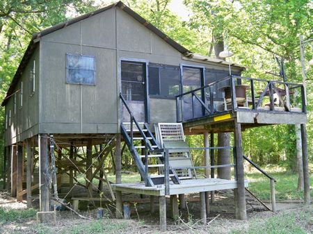18.88 Acres W/ Camp On Al River : Tensaw : Baldwin County : Alabama