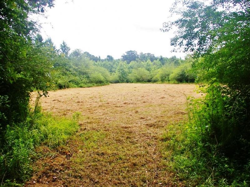 41.71 Acres Hunting Land for Sale : Smithdale : Amite County : Mississippi