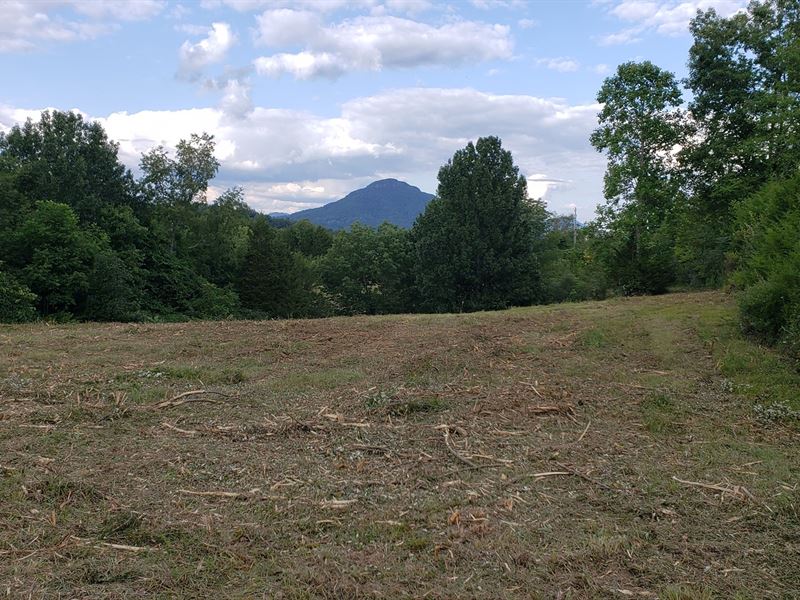 18 Acres Hobby Mini Farm Hunting : Cedar Bluff : Tazewell County : Virginia