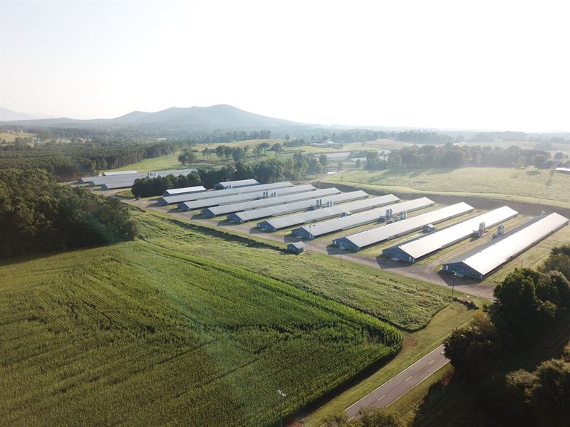Bowen Poultry Farm : Clermont : Hall County : Georgia