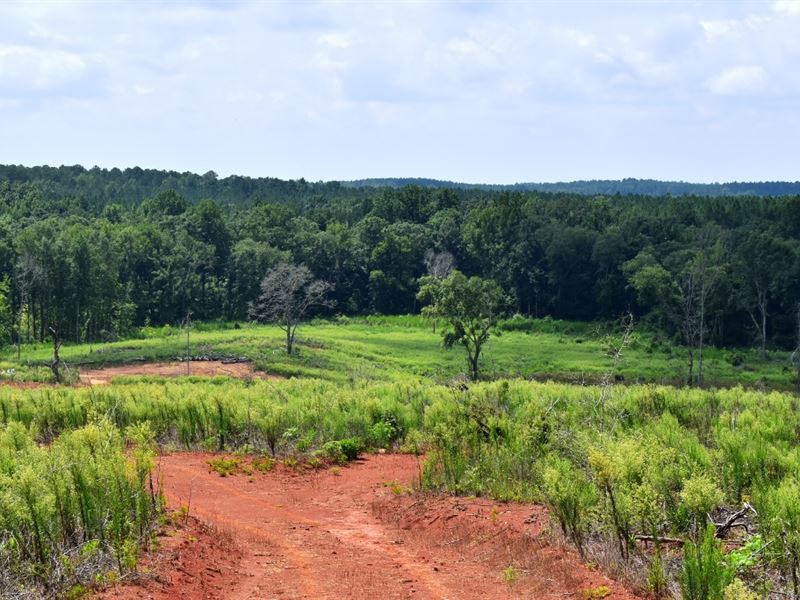 Pleasant Grove Tract Land for Sale in Culloden, Upson County,