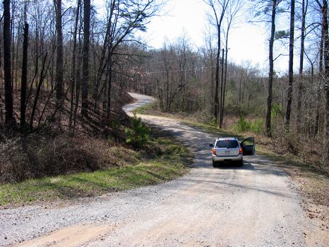 176 Acres : Jasper : Pickens County : Georgia