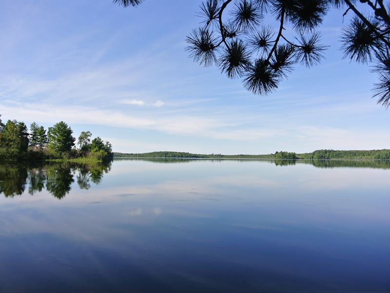 Buckskin Lake Parcel : Lac Du Flambeau : Vilas County : Wisconsin