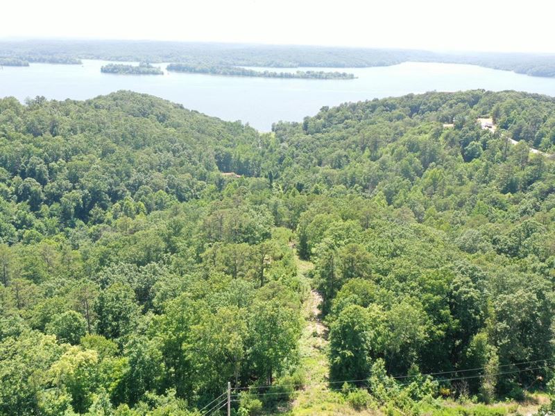 Amazing Views of Kentucky Lake, 5 : Waverly : Humphreys County : Tennessee