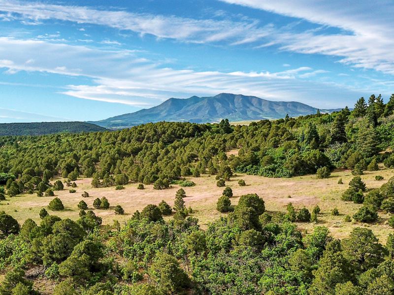 Hunting Ranch Near Blm Land : Walsenburg : Huerfano County : Colorado