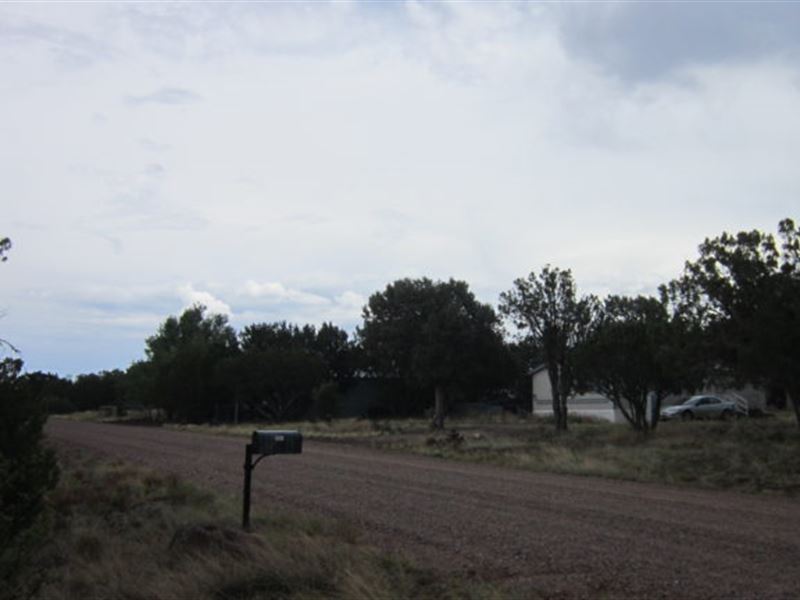 .5 Acres, Power & Water Available : Show Low : Navajo County : Arizona