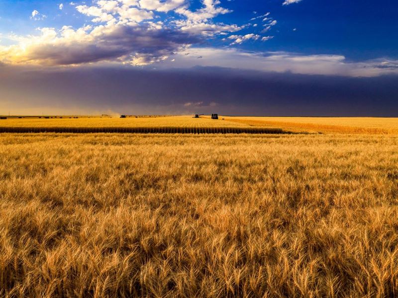Magnificent Dryland Farm Operation : Venango : Perkins County : Nebraska