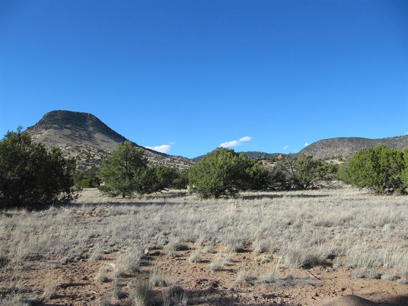Wonderful Views Sugarloaf Mountain Land for Sale in Datil, Catron